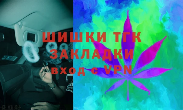 бошки Осинники